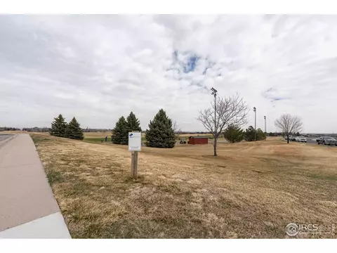 6556 Crystal Downs Dr #102, Windsor, CO 80550 photo 31