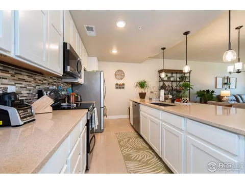 6556 Crystal Downs Dr #102, Windsor, CO 80550 photo 15