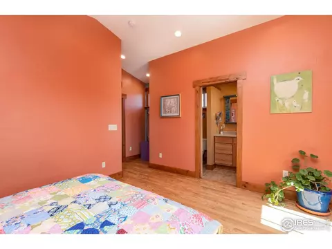 419 Park St, Lyons, CO 80540 photo 23