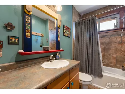 419 Park St, Lyons, CO 80540 photo 25