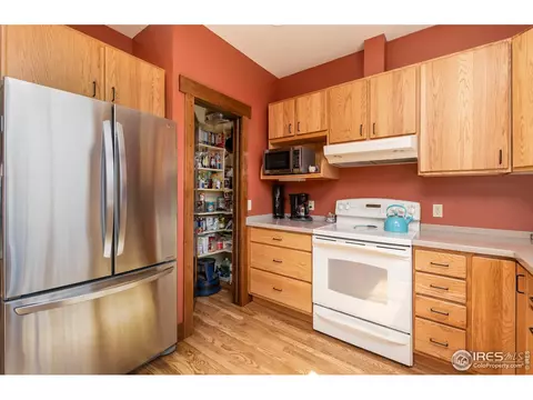 419 Park St, Lyons, CO 80540 photo 14