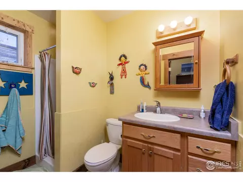 419 Park St, Lyons, CO 80540 photo 31