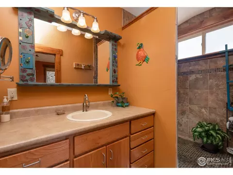 419 Park St, Lyons, CO 80540 photo 24