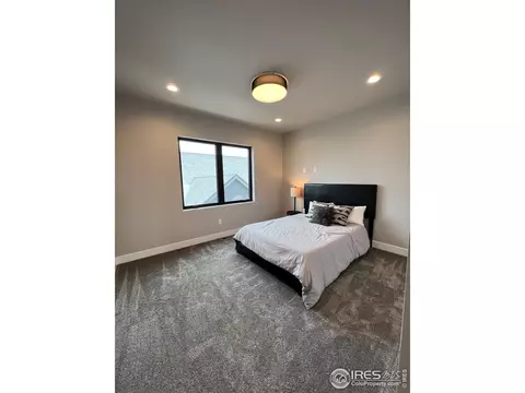 1777 Beachside Dr, Windsor, CO 80550 photo 28