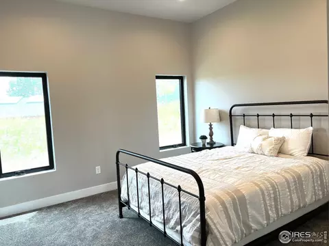 1777 Beachside Dr, Windsor, CO 80550 photo 19