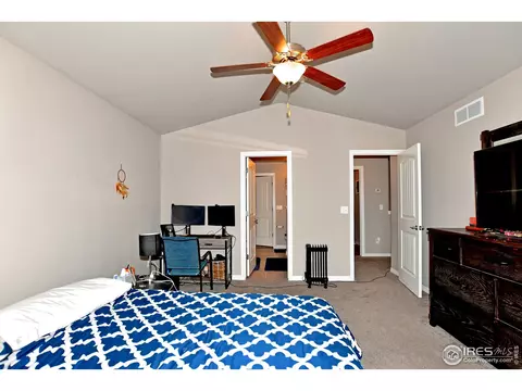 1387 Copeland Falls Rd, Windsor, CO 80550 photo 11