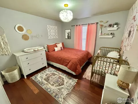 1060 Canal Dr, Windsor, CO 80550 photo 10