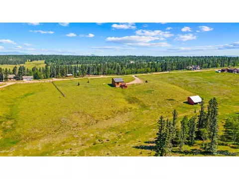 428 Ridge Dr, Divide, CO 80814 photo 49