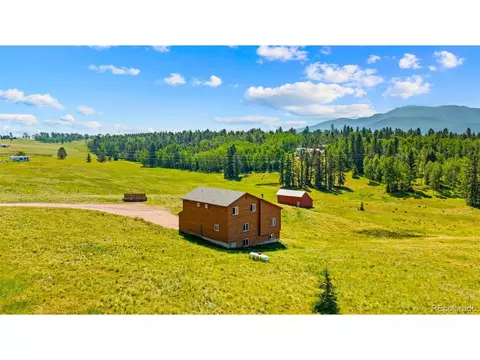 428 Ridge Dr, Divide, CO 80814 photo 44