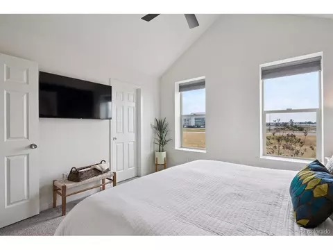 9677 E 56th Pl, Denver, CO 80238 photo 19