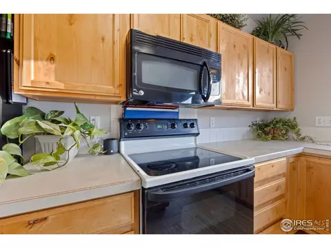 1071 Mahogany Way, Severance, CO 80550 photo 14
