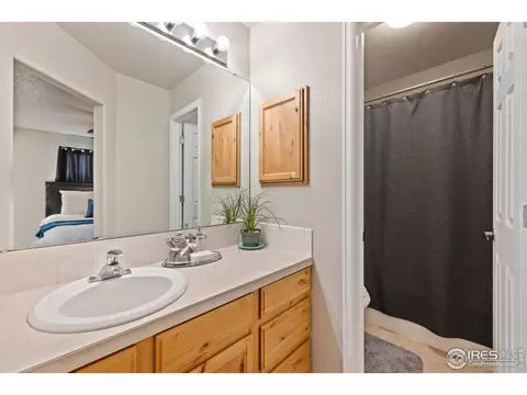 1071 Mahogany Way, Severance, CO 80550 photo 22