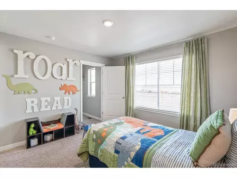 457 3rd St, Severance, CO 80550 photo 21