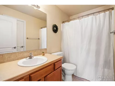 461 Wind River Dr, Windsor, CO 80550 photo 14