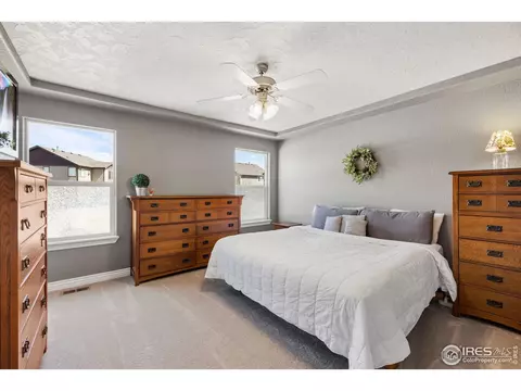 461 Wind River Dr, Windsor, CO 80550 photo 10