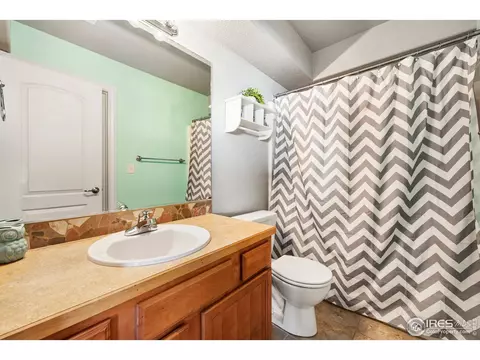 461 Wind River Dr, Windsor, CO 80550 photo 18