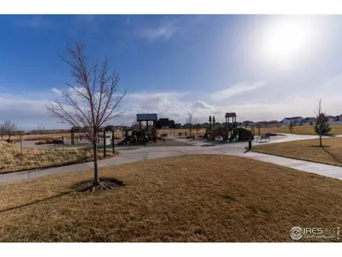461 Wind River Dr, Windsor, CO 80550 photo 21