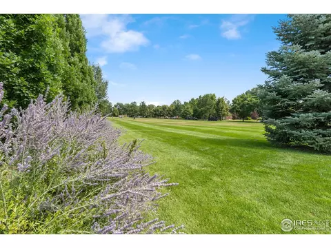 101 E Iowa Ave, Berthoud, CO 80513 photo 37