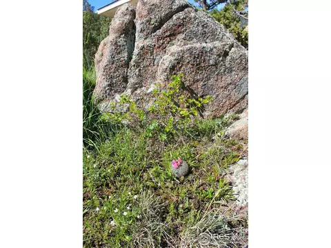202 Estes Park Estates Dr, Lyons, CO 80540 photo 28
