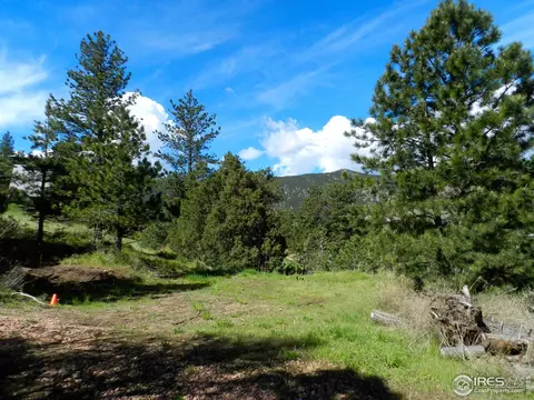 202 Estes Park Estates Dr, Lyons, CO 80540 photo 2