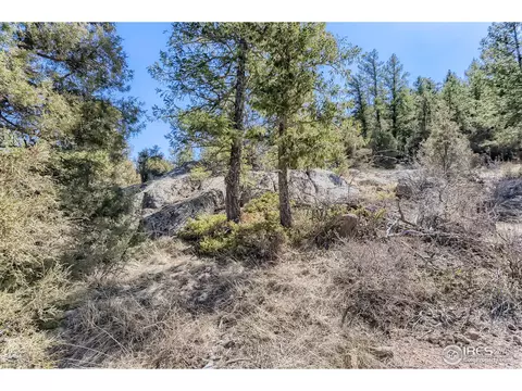 202 Estes Park Estates Dr, Lyons, CO 80540 photo 27