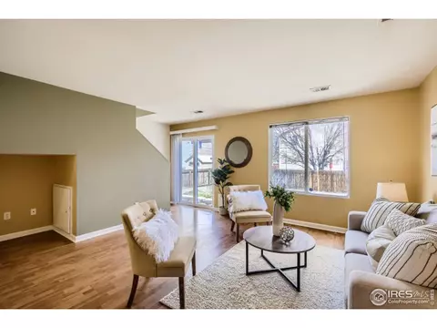 10114 Grape Ct, Thornton, CO 80229 photo 4
