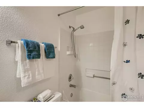 10114 Grape Ct, Thornton, CO 80229 photo 15