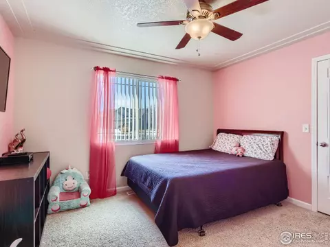 1302 Cliffrose Ct, Severance, CO 80550 photo 19