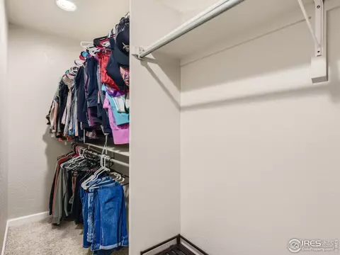 1302 Cliffrose Ct, Severance, CO 80550 photo 16