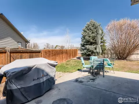 1302 Cliffrose Ct, Severance, CO 80550 photo 25