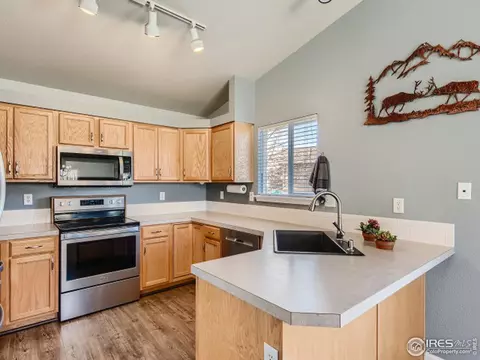 1302 Cliffrose Ct, Severance, CO 80550 photo 8