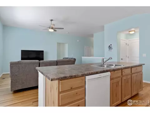 1115 Ibex Dr, Windsor, CO 80550 photo 8