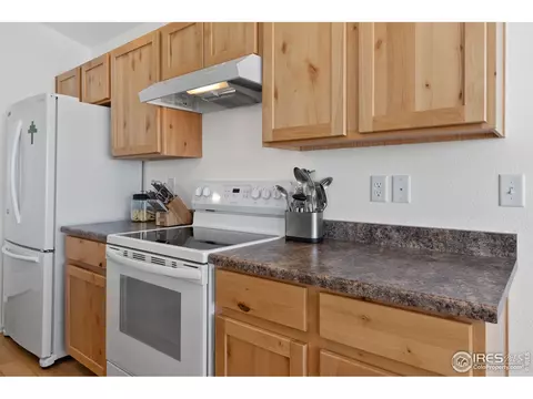 1115 Ibex Dr, Windsor, CO 80550 photo 10
