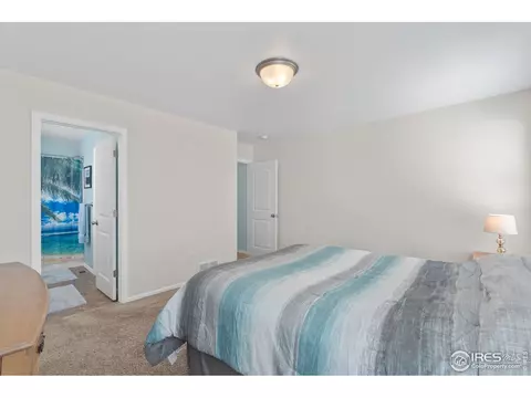 1115 Ibex Dr, Windsor, CO 80550 photo 19