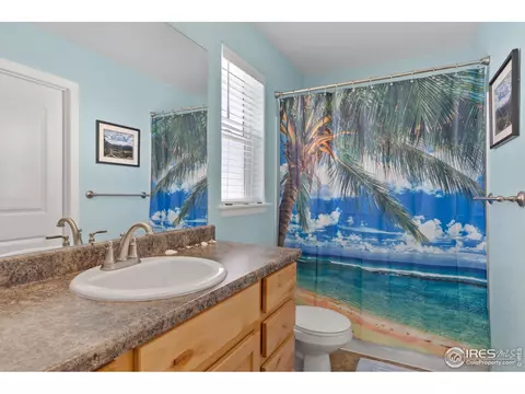 1115 Ibex Dr, Windsor, CO 80550 photo 20