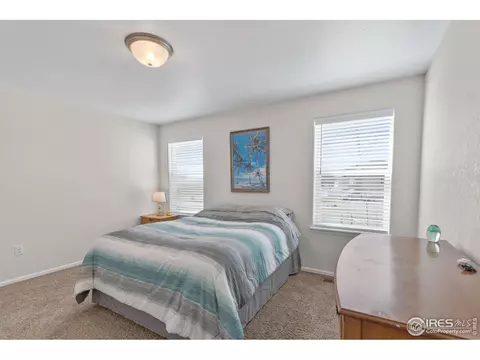 1115 Ibex Dr, Windsor, CO 80550 photo 18
