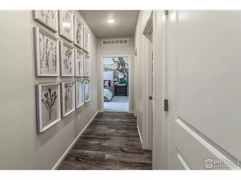 2296 Setting Sun Dr #8, Windsor, CO 80550 photo 22