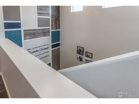 2296 Setting Sun Dr #8, Windsor, CO 80550 photo 5