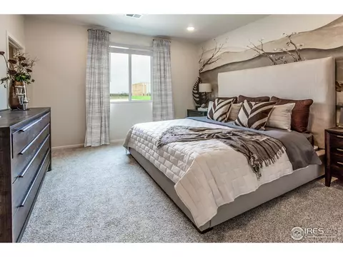 2296 Setting Sun Dr #8, Windsor, CO 80550 photo 29