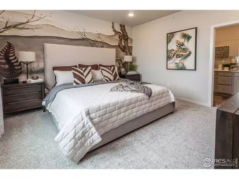 2296 Setting Sun Dr #8, Windsor, CO 80550 photo 30