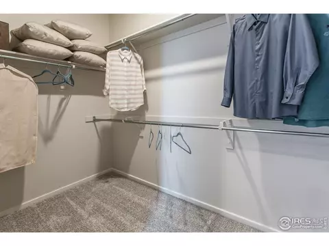 2296 Setting Sun Dr #8, Windsor, CO 80550 photo 31
