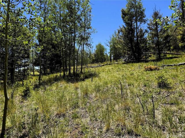 144 Kaufman Ct, Hartsel, CO 80449
