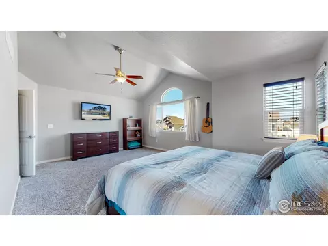 5685 Bexley Dr, Windsor, CO 80550 photo 9