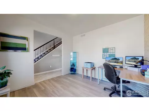 5685 Bexley Dr, Windsor, CO 80550 photo 11