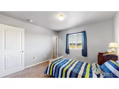 5685 Bexley Dr, Windsor, CO 80550 photo 31