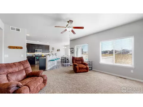 5685 Bexley Dr, Windsor, CO 80550 photo 13