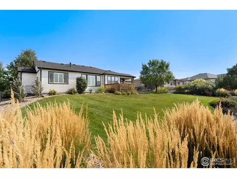 7304 Crystal Downs Dr, Windsor, CO 80550 photo 31