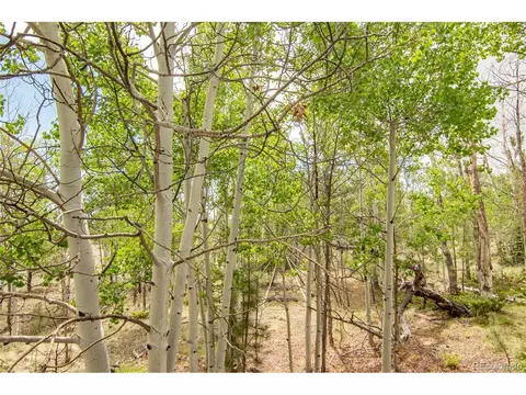 244 Lariat Loop, Hartsel, CO 80449 photo 8