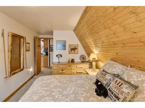 244 Lariat Loop, Hartsel, CO 80449 photo 36