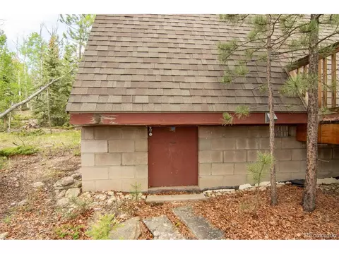 244 Lariat Loop, Hartsel, CO 80449 photo 13